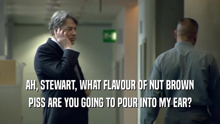 AH, STEWART, WHAT FLAVOUR OF NUT BROWN PISS ARE YOU GOING TO POUR INTO MY EAR? 
