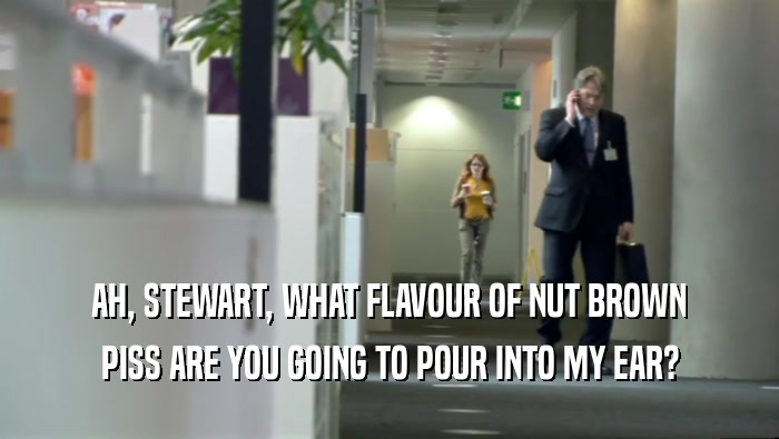 AH, STEWART, WHAT FLAVOUR OF NUT BROWN PISS ARE YOU GOING TO POUR INTO MY EAR? 