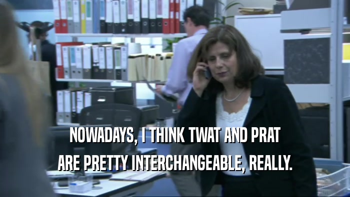 NOWADAYS, I THINK TWAT AND PRAT ARE PRETTY INTERCHANGEABLE, REALLY. 
