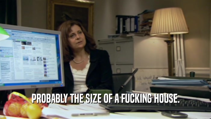 PROBABLY THE SIZE OF A FUCKING HOUSE.  