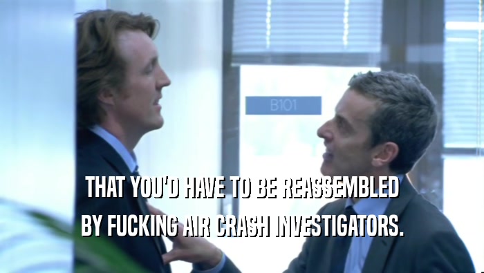 THAT YOU'D HAVE TO BE REASSEMBLED BY FUCKING AIR CRASH INVESTIGATORS. 