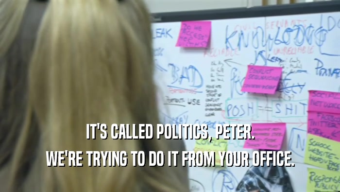 IT'S CALLED POLITICS, PETER. WE'RE TRYING TO DO IT FROM YOUR OFFICE. 