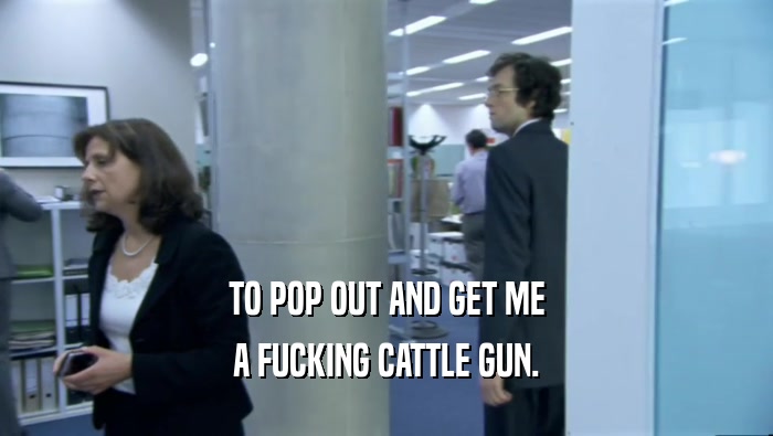 TO POP OUT AND GET ME A FUCKING CATTLE GUN. 