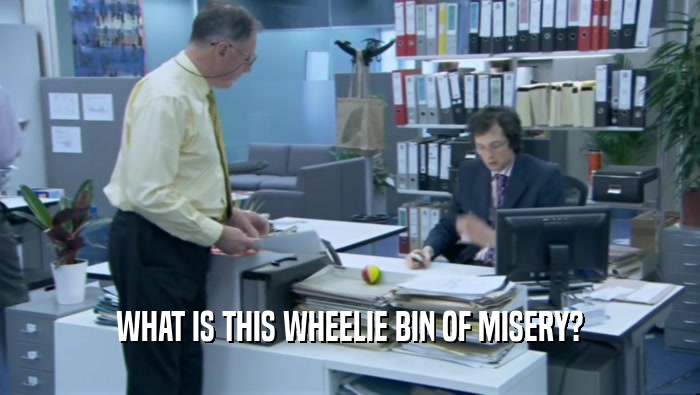 WHAT IS THIS WHEELIE BIN OF MISERY?  
