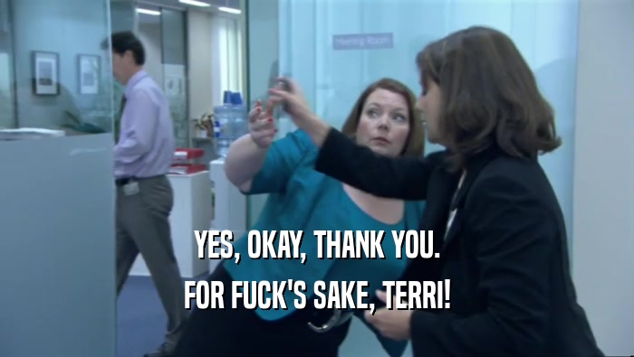 YES, OKAY, THANK YOU. FOR FUCK'S SAKE, TERRI! 