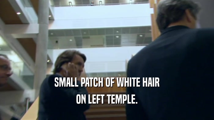 SMALL PATCH OF WHITE HAIR
 ON LEFT TEMPLE.
 
