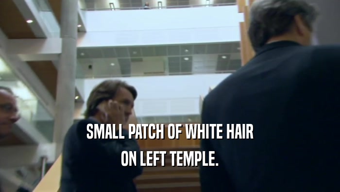 SMALL PATCH OF WHITE HAIR ON LEFT TEMPLE. 