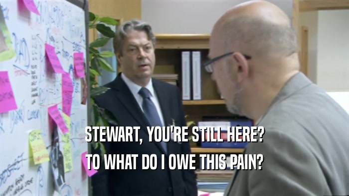 STEWART, YOU'RE STILL HERE? TO WHAT DO I OWE THIS PAIN? 
