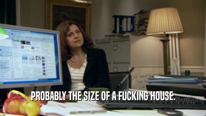 PROBABLY THE SIZE OF A FUCKING HOUSE.  