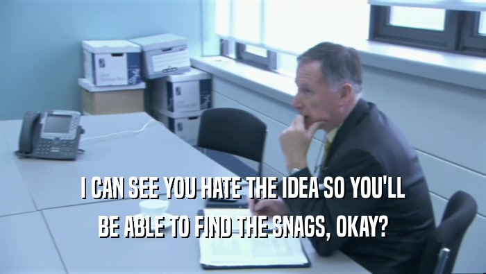 I CAN SEE YOU HATE THE IDEA SO YOU'LL BE ABLE TO FIND THE SNAGS, OKAY? 