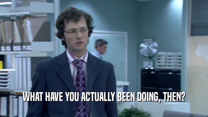 WHAT HAVE YOU ACTUALLY BEEN DOING, THEN?  