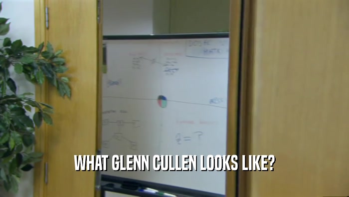 WHAT GLENN CULLEN LOOKS LIKE?  