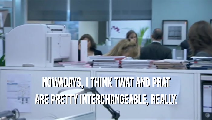 NOWADAYS, I THINK TWAT AND PRAT ARE PRETTY INTERCHANGEABLE, REALLY. 