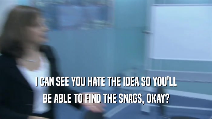 I CAN SEE YOU HATE THE IDEA SO YOU'LL BE ABLE TO FIND THE SNAGS, OKAY? 