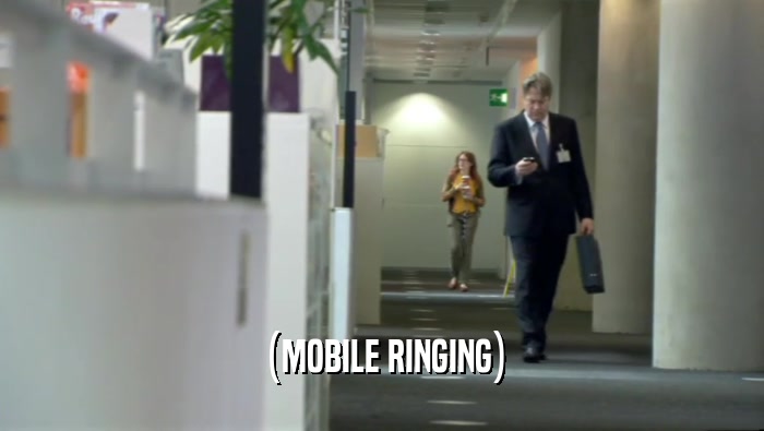 (MOBILE RINGING)  