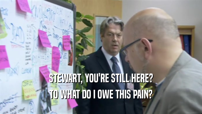 STEWART, YOU'RE STILL HERE? TO WHAT DO I OWE THIS PAIN? 
