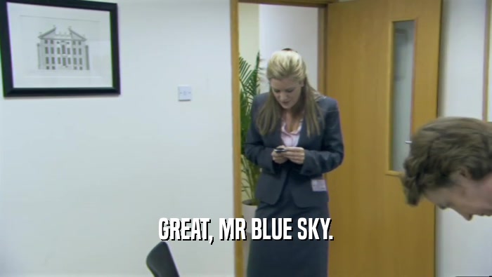 GREAT, MR BLUE SKY.  