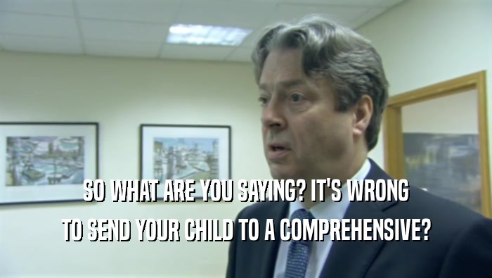 SO WHAT ARE YOU SAYING? IT'S WRONG
 TO SEND YOUR CHILD TO A COMPREHENSIVE?
 