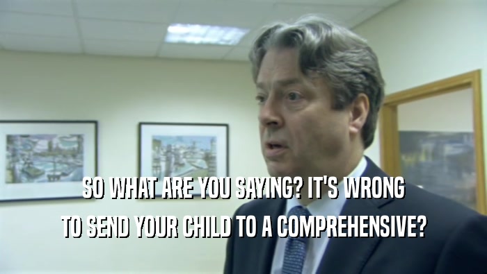 SO WHAT ARE YOU SAYING? IT'S WRONG TO SEND YOUR CHILD TO A COMPREHENSIVE? 