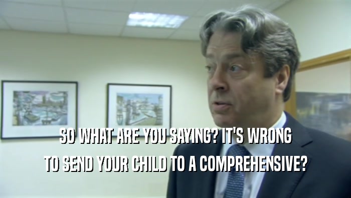 SO WHAT ARE YOU SAYING? IT'S WRONG TO SEND YOUR CHILD TO A COMPREHENSIVE? 