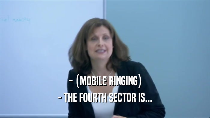 - (MOBILE RINGING) - THE FOURTH SECTOR IS... 