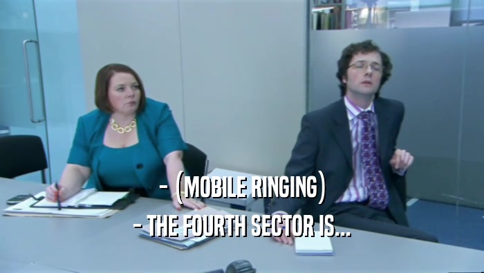 - (MOBILE RINGING) - THE FOURTH SECTOR IS... 
