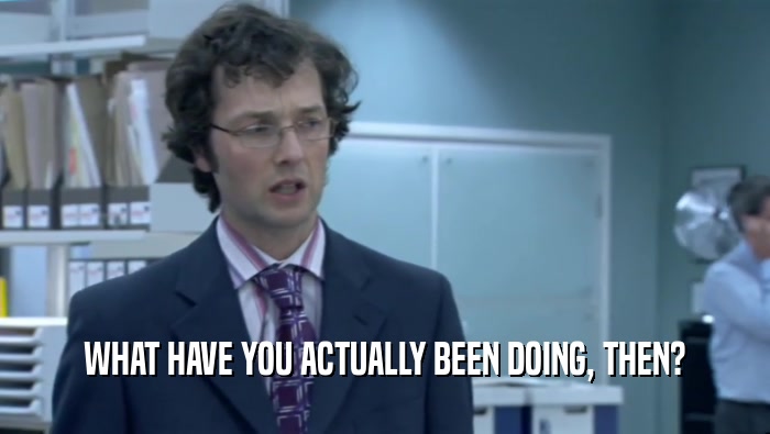 WHAT HAVE YOU ACTUALLY BEEN DOING, THEN?  