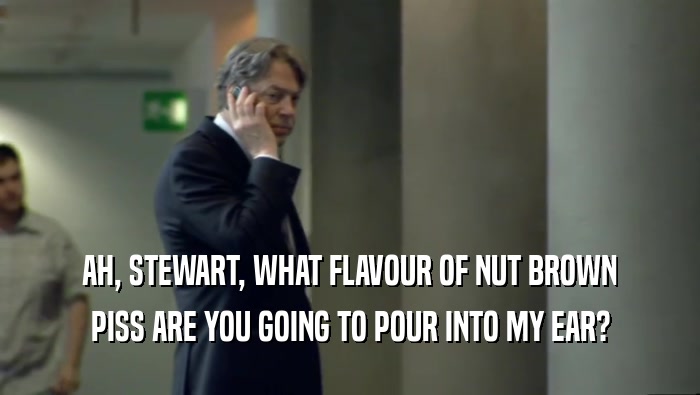 AH, STEWART, WHAT FLAVOUR OF NUT BROWN PISS ARE YOU GOING TO POUR INTO MY EAR? 