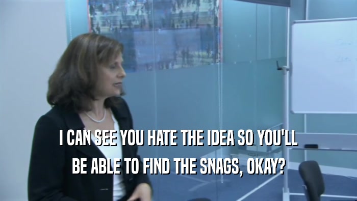 I CAN SEE YOU HATE THE IDEA SO YOU'LL BE ABLE TO FIND THE SNAGS, OKAY? 