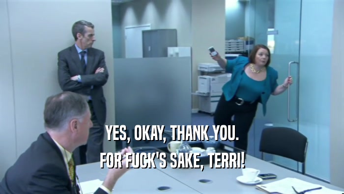 YES, OKAY, THANK YOU. FOR FUCK'S SAKE, TERRI! 