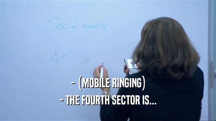 - (MOBILE RINGING) - THE FOURTH SECTOR IS... 