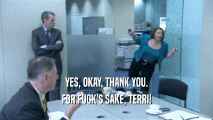 YES, OKAY, THANK YOU. FOR FUCK'S SAKE, TERRI! 