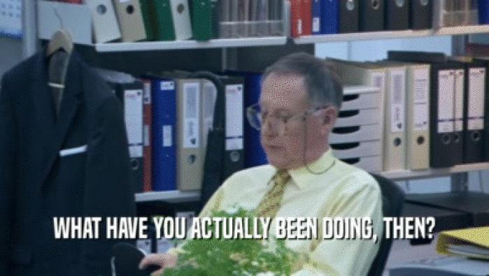 WHAT HAVE YOU ACTUALLY BEEN DOING, THEN?  
