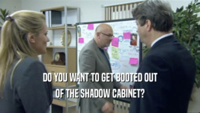 DO YOU WANT TO GET BOOTED OUT
 OF THE SHADOW CABINET?
 