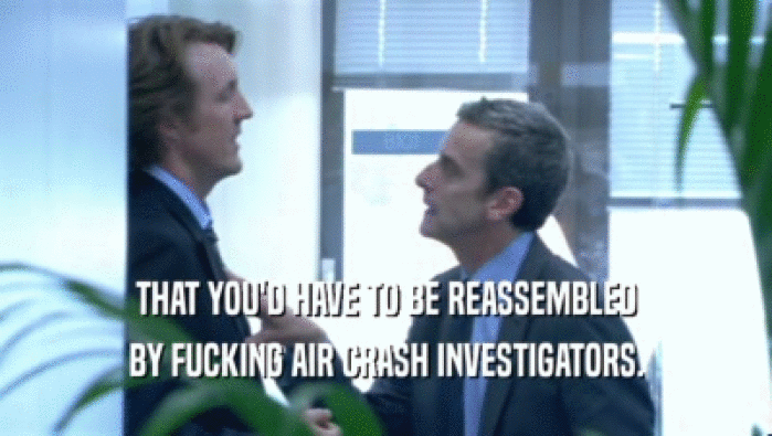 THAT YOU'D HAVE TO BE REASSEMBLED BY FUCKING AIR CRASH INVESTIGATORS. 