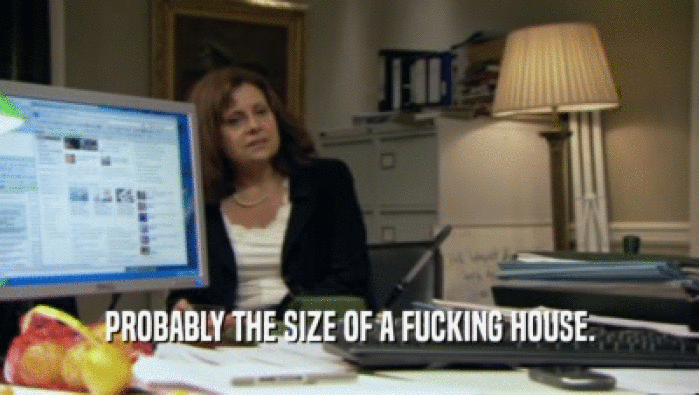 PROBABLY THE SIZE OF A FUCKING HOUSE.  