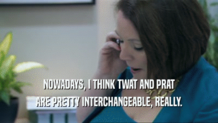 NOWADAYS, I THINK TWAT AND PRAT ARE PRETTY INTERCHANGEABLE, REALLY. 