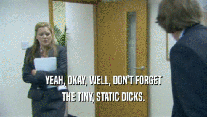 YEAH, OKAY, WELL, DON'T FORGET THE TINY, STATIC DICKS. 