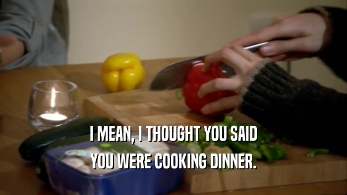 I MEAN, I THOUGHT YOU SAID YOU WERE COOKING DINNER. 