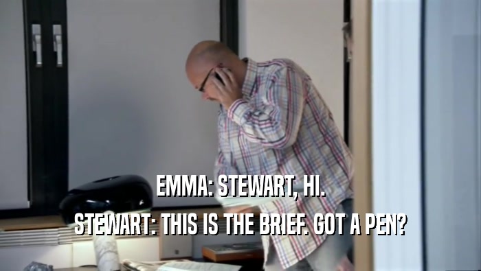 EMMA: STEWART, HI. STEWART: THIS IS THE BRIEF. GOT A PEN? 