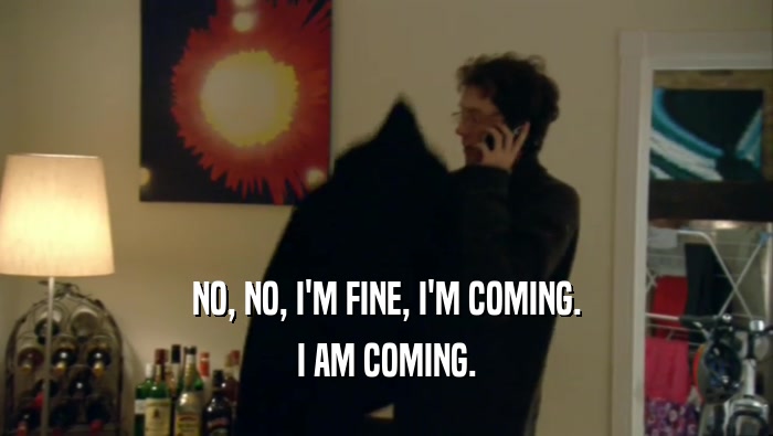 NO, NO, I'M FINE, I'M COMING. I AM COMING. 