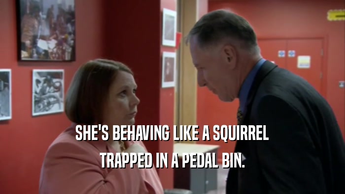 SHE'S BEHAVING LIKE A SQUIRREL TRAPPED IN A PEDAL BIN. 