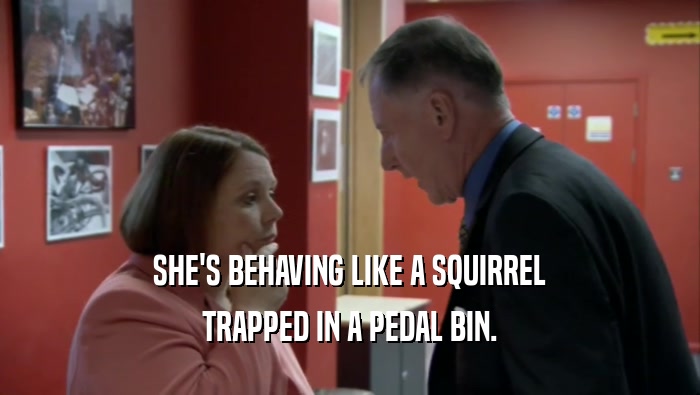 SHE'S BEHAVING LIKE A SQUIRREL TRAPPED IN A PEDAL BIN. 