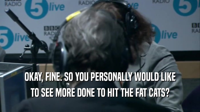 OKAY, FINE. SO YOU PERSONALLY WOULD LIKE TO SEE MORE DONE TO HIT THE FAT CATS? 