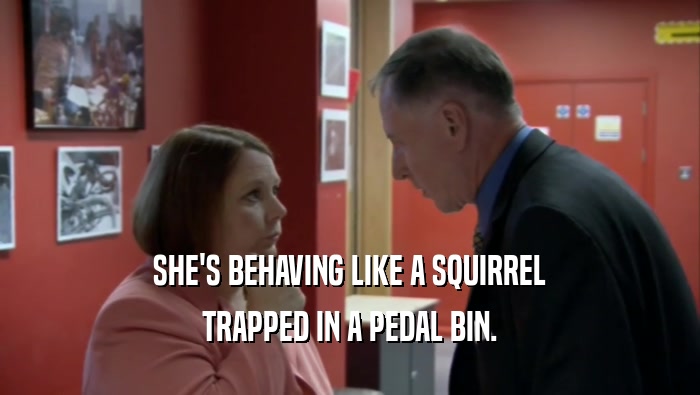 SHE'S BEHAVING LIKE A SQUIRREL TRAPPED IN A PEDAL BIN. 