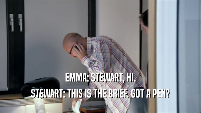 EMMA: STEWART, HI. STEWART: THIS IS THE BRIEF. GOT A PEN? 