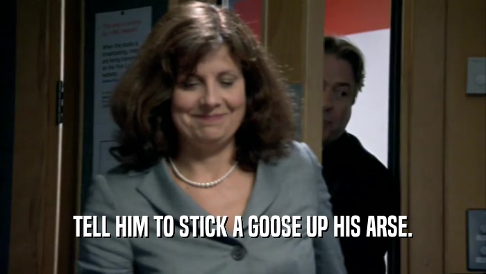 TELL HIM TO STICK A GOOSE UP HIS ARSE.  