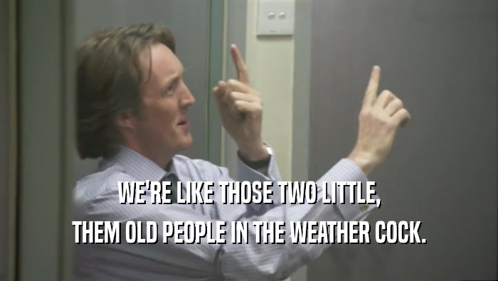 WE'RE LIKE THOSE TWO LITTLE, THEM OLD PEOPLE IN THE WEATHER COCK. 