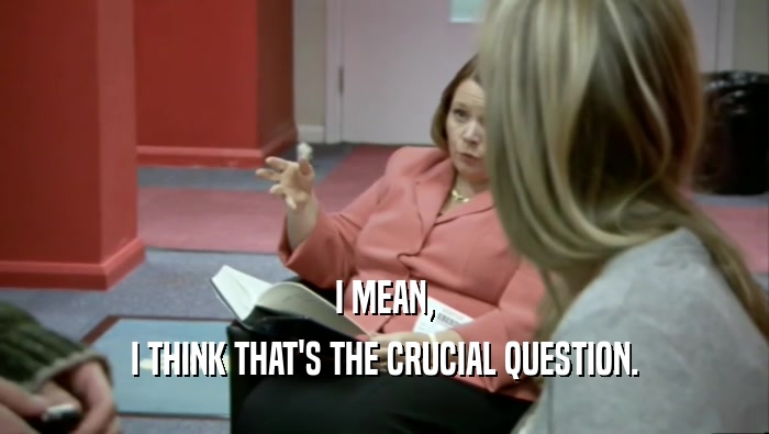 I MEAN, I THINK THAT'S THE CRUCIAL QUESTION. 