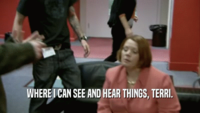 WHERE I CAN SEE AND HEAR THINGS, TERRI.  